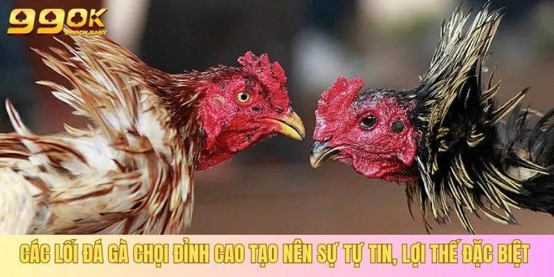 Các lối đá gà chọi đỉnh cao tạo nên sự tự tin, lợi thế đặc biệt