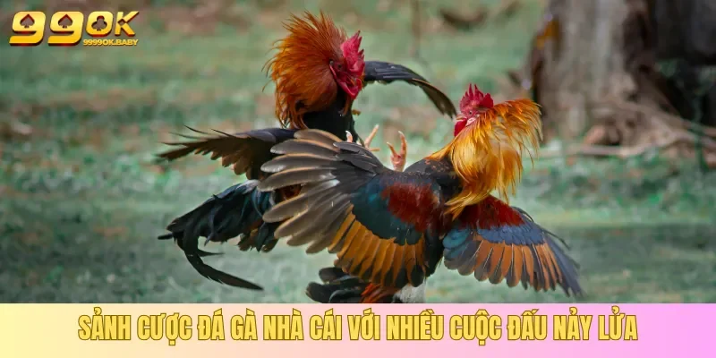 Giới thiệu 99OK sản phẩm cược Đá Gà
